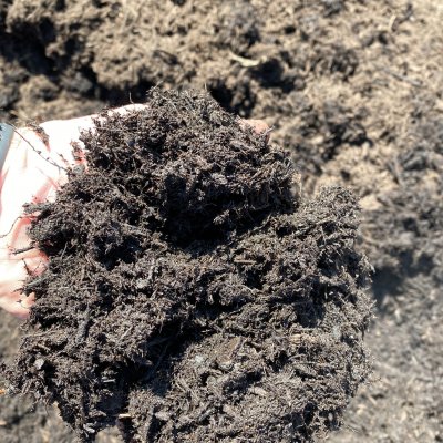 Natural Black Mulch in hand